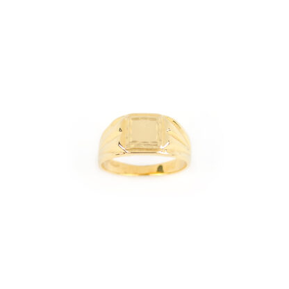 Anello mignolo uomo chevalier, anello mignolo uomo in oro giallo 750 (18 kt) massiccio, larghezza della testa 9,25 mm
